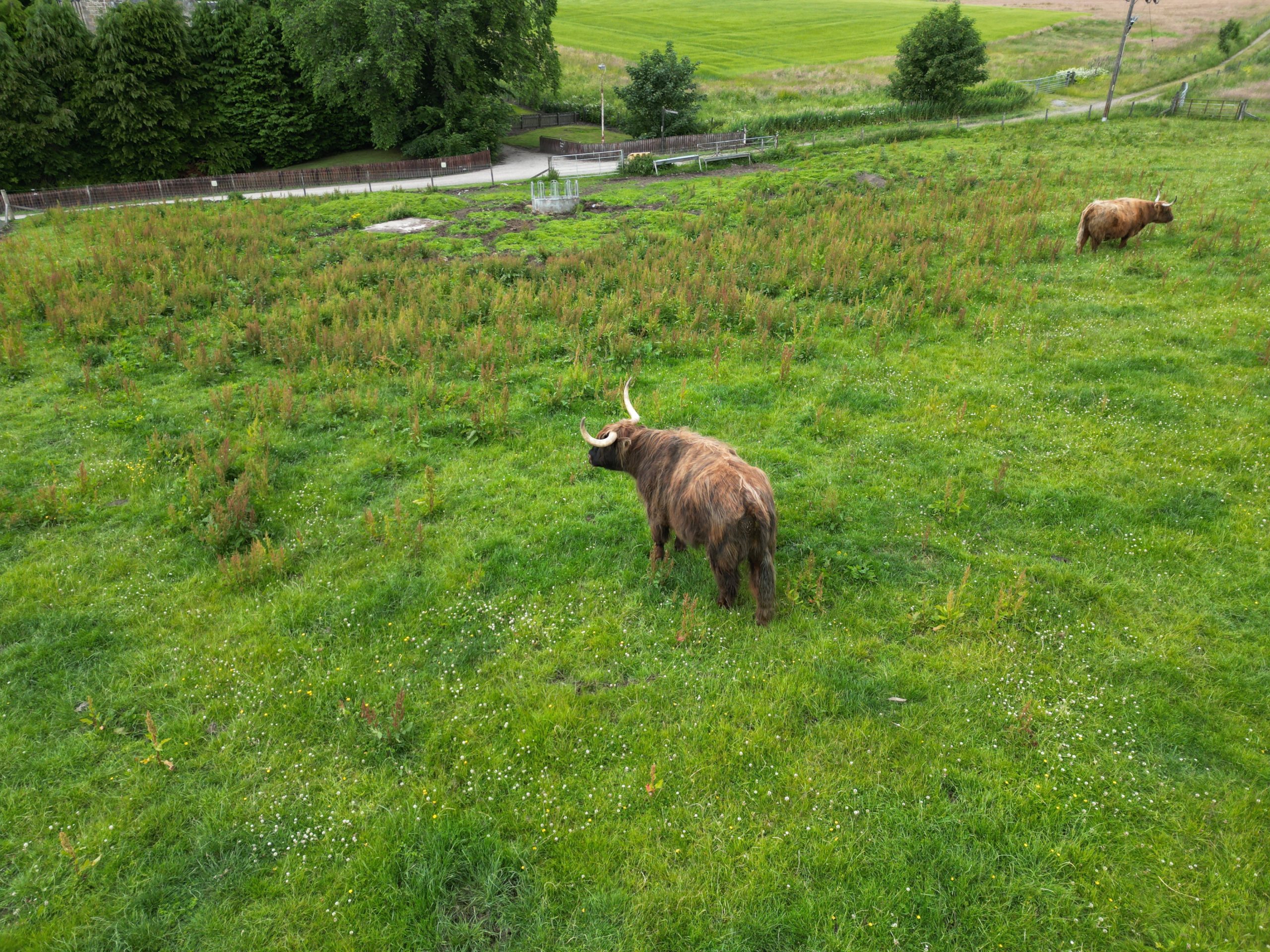 Trip to Scotland